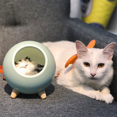 Cat LED USB Night Light